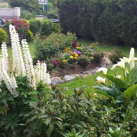 Riverwalk House B&B Oughterard Bagian luar foto